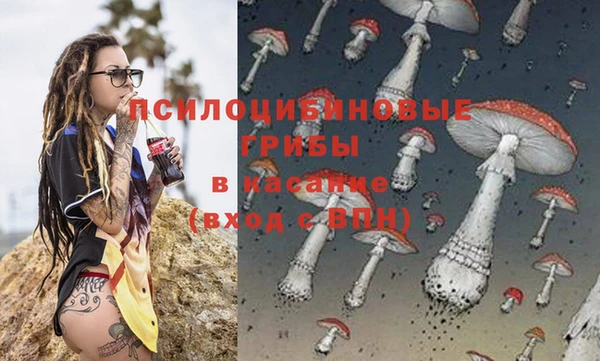 ешки Каменка